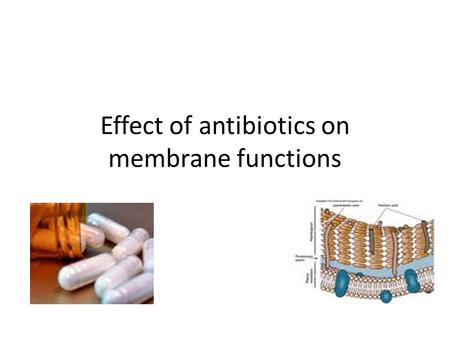 Effect of antibiotics on membrane functions. Functions of the cytoplasmic membrane It forms an expandable and protective barrier to the protoplast. Provides.