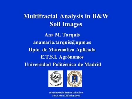 International Summer School on Turbulence Diffusion 2006 Multifractal Analysis in B&W Soil Images Ana M. Tarquis Dpto. de Matemática.