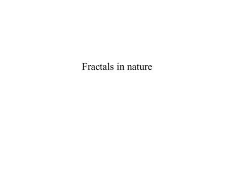 Fractals in nature.