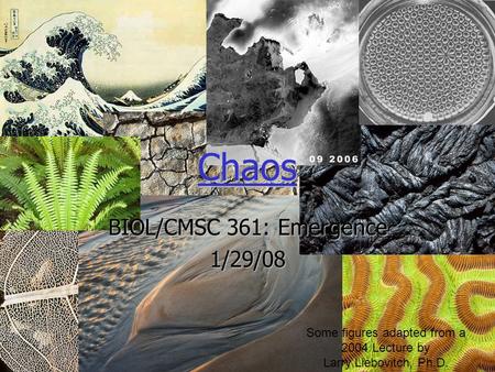 Some figures adapted from a 2004 Lecture by Larry Liebovitch, Ph.D. Chaos BIOL/CMSC 361: Emergence 1/29/08.