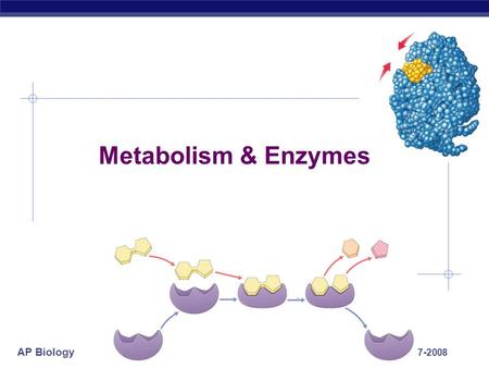 AP Biology 2007-2008 Metabolism & Enzymes AP Biology Metabolism  Chemical reactions of life  forming bonds between molecules  dehydration synthesis.