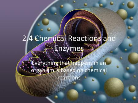 2.4 Chemical Reactions and Enzymes