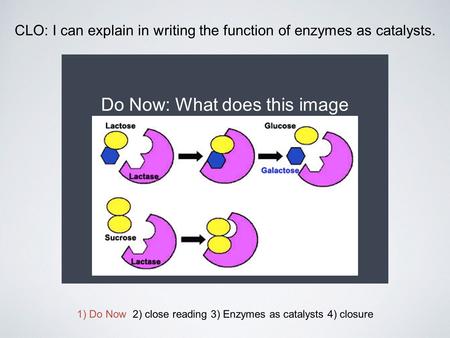 CLO: I can explain in writing the function of enzymes as catalysts. Do Now: What does this image illustrate? 1) Do Now 2) close reading 3) Enzymes as catalysts.