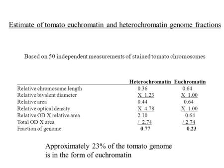 HeterochromatinEuchromatin Relative chromosome length 0.36 0.64 Relative bivalent diameter X 1.23 X 1.00 Relative area 0.44 0.64 Relative optical density.