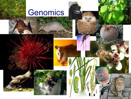 Genomics.