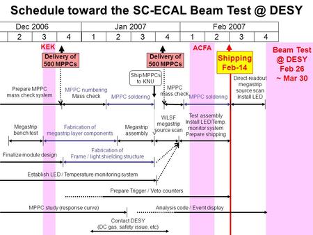 1234 Dec 2006 1234 Jan 2007 1234 Feb 2007 Delivery of 500 MPPCs MPPC numbering Mass check MPPC soldering WLSF megastrip source scan ACFA Shipping Feb-14.