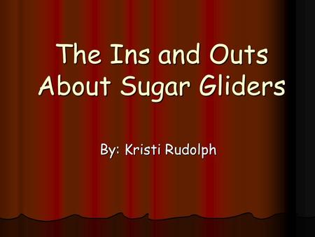 The Ins and Outs About Sugar Gliders By: Kristi Rudolph.