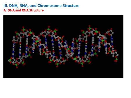 III. DNA, RNA, and Chromosome Structure A. DNA and RNA Structure.