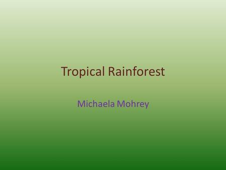 Tropical Rainforest Michaela Mohrey. Location North central America, South America, Africa, Asia, Australasia.