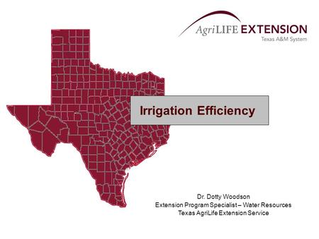 Irrigation Efficiency Dr. Dotty Woodson Extension Program Specialist – Water Resources Texas AgriLife Extension Service.