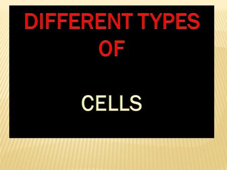 CELL CELL IS A DEVICE WHICH CONVERT CHEMICAL ENERGY INTO ELECTRICAL ENERGY AND VICE VERSA.