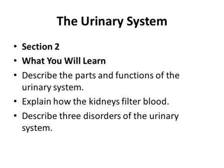 The Urinary System Section 2 What You Will Learn Describe the parts and functions of the urinary system. Explain how the kidneys filter blood. Describe.