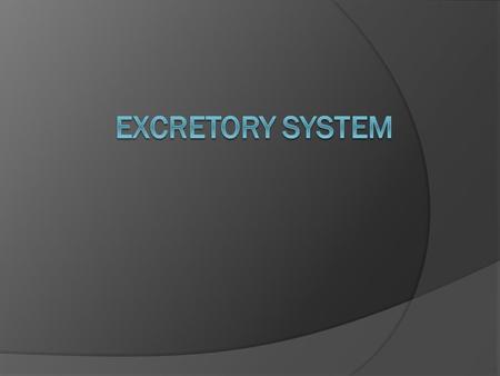 Excretion  Excretion is the process of removing metabolic waste.  Types of Cells: Podocytes, Endothelial, and Mesangial (all found in enthrones)  Organs: