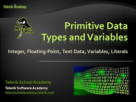 Telerik Software Academy   Telerik School Academy Integer, Floating-Point, Text Data, Variables,