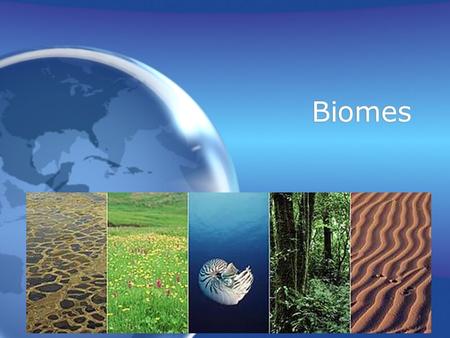 Biomes.