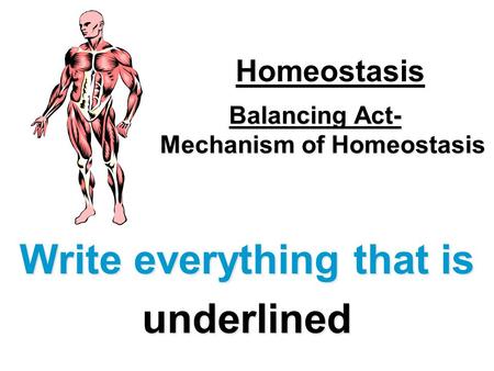 Balancing Act- Mechanism of Homeostasis