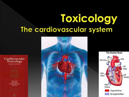  Maintain internal homeostasis.  Regulate body temperature  Maintain tissue and cellular pH.