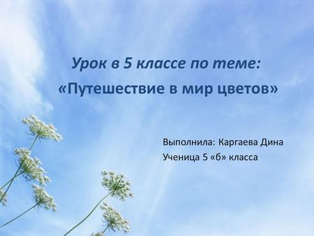 Урок в 5 классе по теме: «Путешествие в мир цветов» Выполнила: Каргаева Дина Ученица 5 «б» класса.