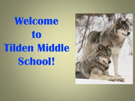 Welcome to Tilden Middle School!. We Are Here To Support You! Irina LaGrange, Principal Jeff Leaman, Assistant Principal Maniya Jules, Assistant Principal.