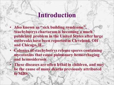 Introduction Also known as “sick building syndrome”, Stachybotrys chartarum is becoming a much publicized problem in the United States after large outbreaks.