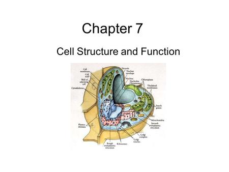 Cell Structure and Function