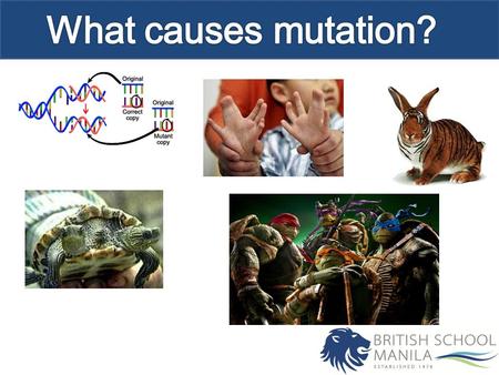 Objectives Know radiation and mutagenic chemicals increase the mutation rate and can cause genetic diseases and cancer. Application: Consequences of radiation.