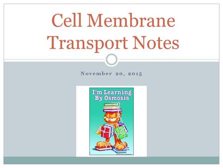 Cell Membrane Transport Notes