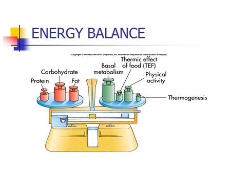 ENERGY BALANCE.