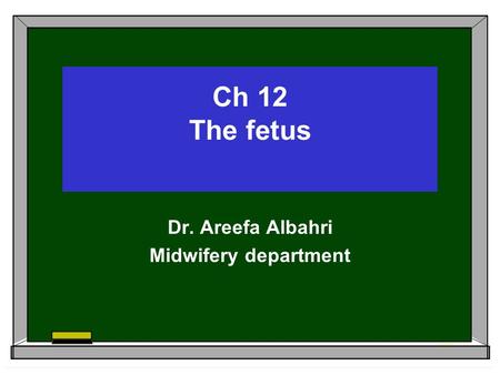 Ch 12 The fetus Dr. Areefa Albahri Midwifery department.