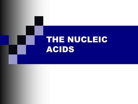 THE NUCLEIC ACIDS. The history of DNA…. Friedrich Miescher Bavarie Oswald Avery Edwin Chargaff Meselsohn and Stahl Hershey and Chase Watson, Crick, Wilkins.