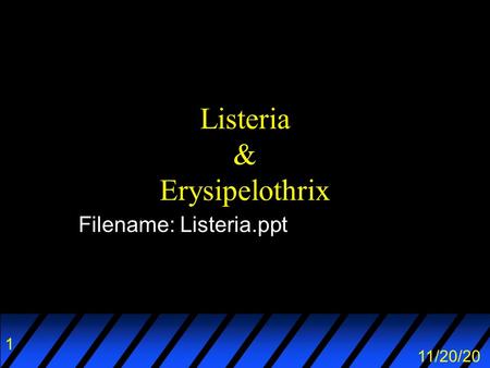 Listeria & Erysipelothrix