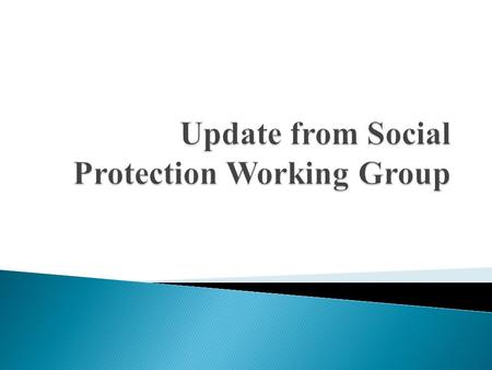  Structure  Membership: UNICEF, DFID,USG, World Vision, Save the Children, HelpAge, WFP, ILO, HSRC,  Turn-over within group new individuals as conveners.