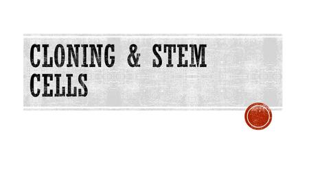  Human Cloning  IVF  Designer Babies  Stem cells.