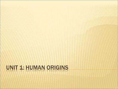  Time before writing was invented  ended 5,000 years ago  around 3200 BC.