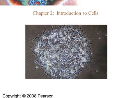 Copyright © 2008 Pearson Education, Inc., publishing as Benjamin Cummings Chapter 2: Introduction to Cells.