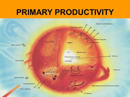 PRIMARY PRODUCTIVITY.