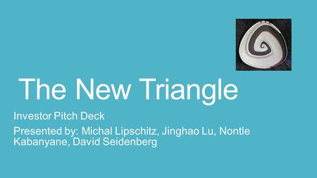 The New Triangle Investor Pitch Deck Presented by: Michal Lipschitz, Jinghao Lu, Nontle Kabanyane, David Seidenberg.