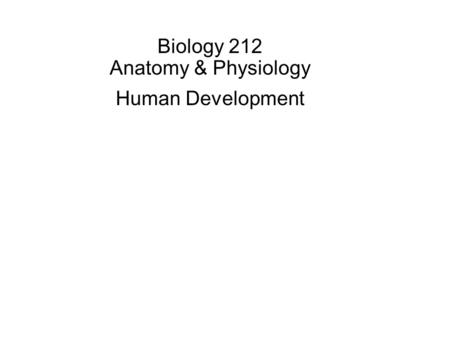 Biology 212 Anatomy & Physiology Human Development.