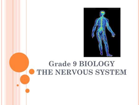 Grade 9 BIOLOGY THE NERVOUS SYSTEM