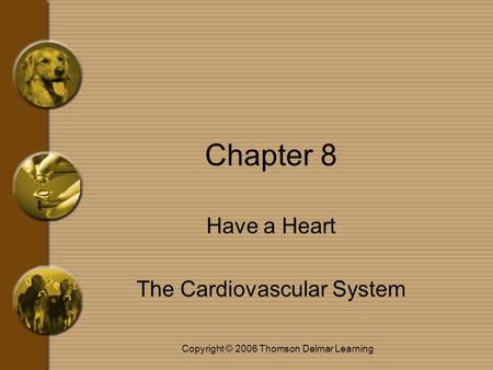 Copyright © 2006 Thomson Delmar Learning Chapter 8 Have a Heart The Cardiovascular System.