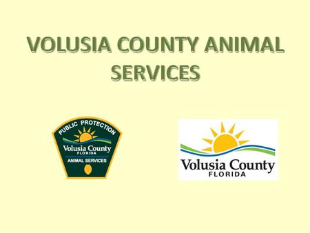 The Animal Services Division of Volusia County is committed to insuring citizen and animal safety, promotion of responsible pet ownership and the reduction.