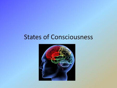 States of Consciousness. Mouse Party & Spiders on Drugs + Rusty the Narcoleptic Dog  mouse.cfm