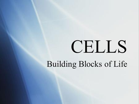 CELLS Building Blocks of Life.  Every living thing is made of cells  Cells complete different functions in different parts of organisms.  Muscle cells.