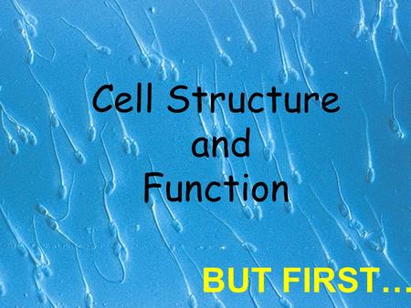 Cell Structure and Function