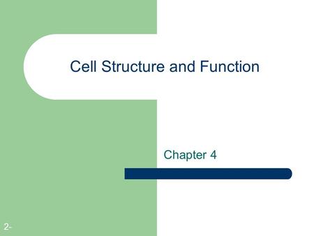 Cell Structure and Function