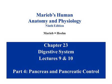 Anatomy and Physiology Part 4: Pancreas and Pancreatic Control