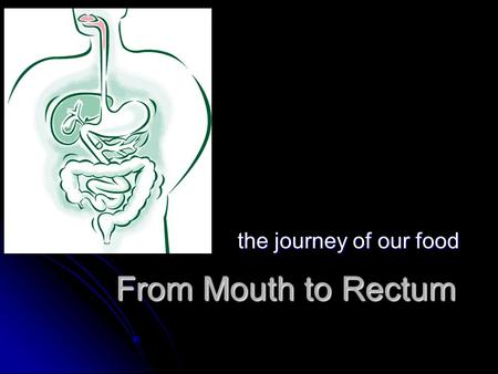 From Mouth to Rectum the journey of our food. Gastrointestinal (Digestive System) Overview What is digestion? What is digestion? Digestion is the process.