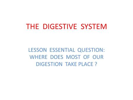 THE DIGESTIVE SYSTEM LESSON ESSENTIAL QUESTION: WHERE DOES MOST OF OUR DIGESTION TAKE PLACE ?