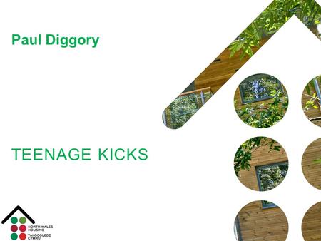 TEENAGE KICKS Paul Diggory. OPTIMISM IN THE 21 ST CENTURY.