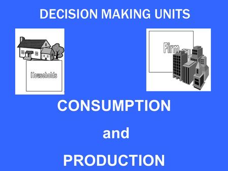 DECISION MAKING UNITS CONSUMPTION and PRODUCTION.